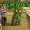 Zumtu Camipuai