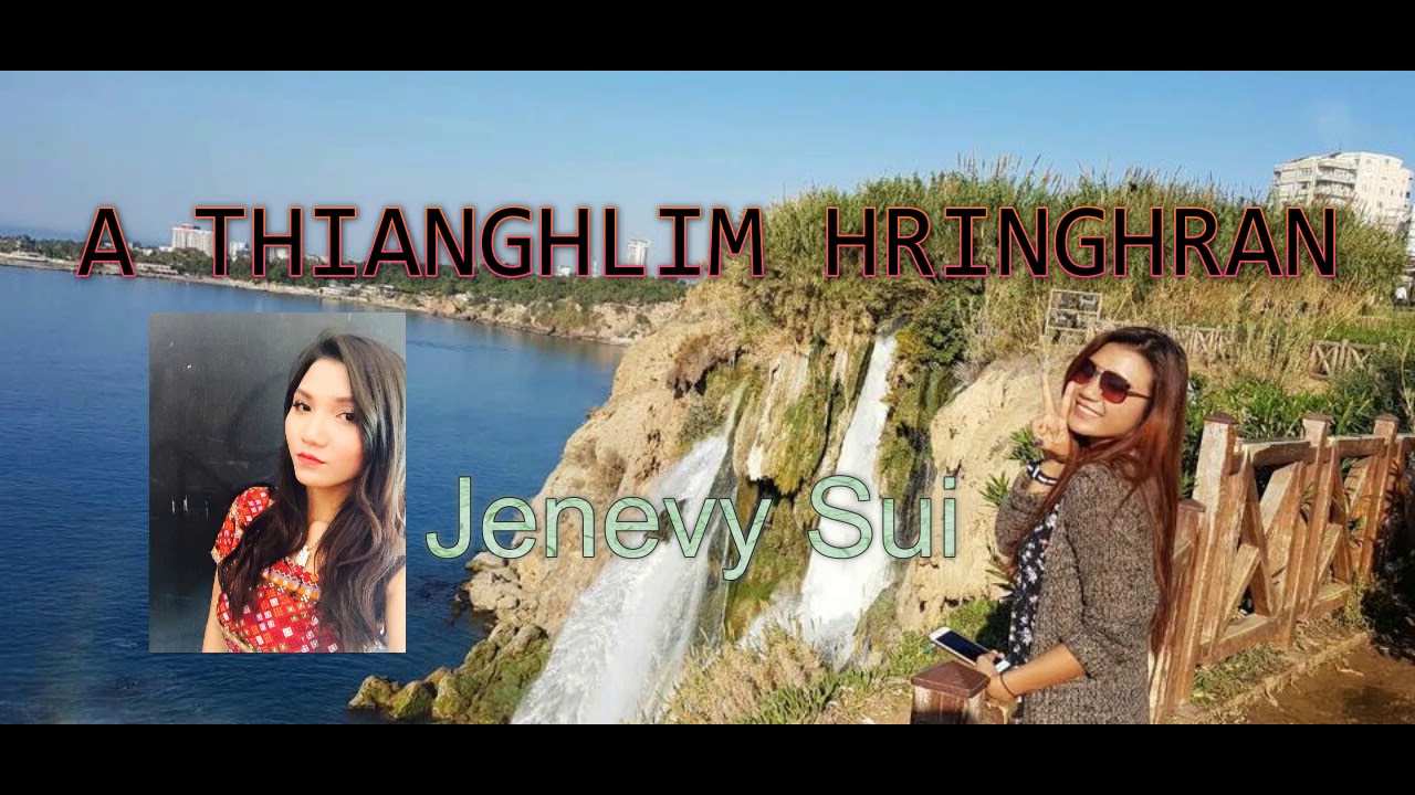 Video Image