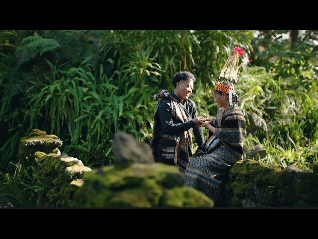 Video Image