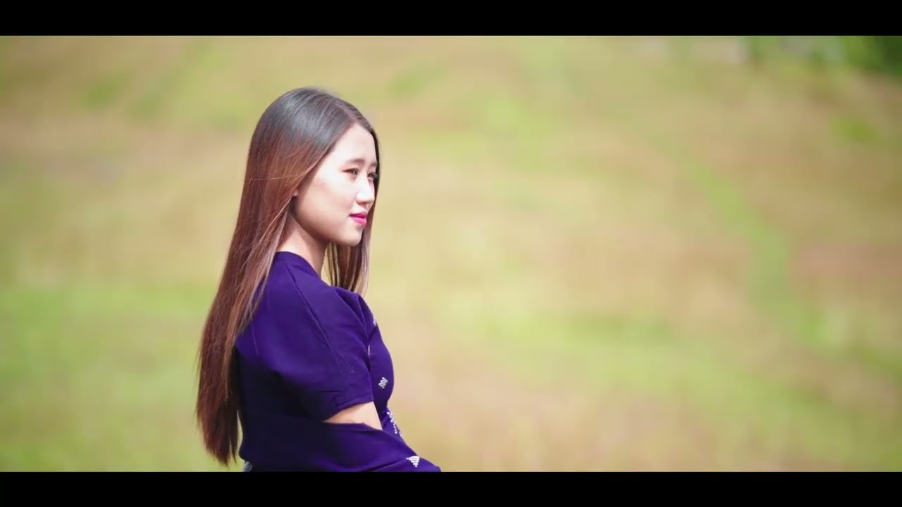 Video Image