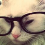 Profile picture of Lidia Sung