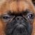Profile picture of Mai Tian