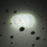 Profile picture of Van Ceu