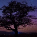 Profile picture of Suihlawn