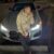 Profile picture of Cung Cem