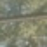 Profile picture of Mang Cin