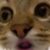 Profile picture of willliam k