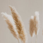 Profile picture of Bawinu Cinzah