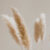 Profile picture of Bawinu Cinzah