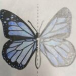 Profile picture of Par Tial