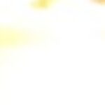 Profile picture of Van Hnin