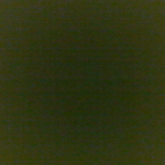 Profile picture of Rosy mawi
